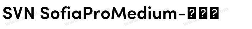 SVN SofiaProMedium字体转换